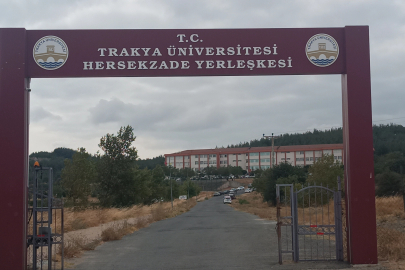 Keşan Belediyesi göreve davet edildi... Uzun otlar temizlenmeyi bekliyor