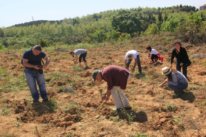 ÇEKÜL'den 'acele etmeyin' uyarısı! Yanan bölgelerde fidan dikimi için acele edilmemeli!