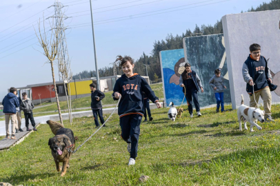 İzmir’de 2 bin 300 patili yuva bekliyor