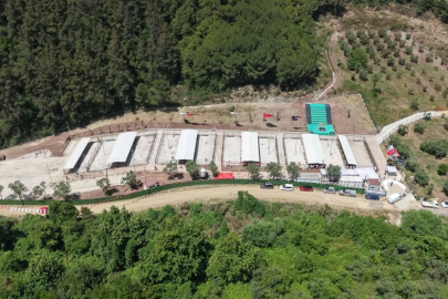 Gemlik’te barınak ziyaretçilere hep açık