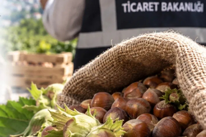 Fındık piyasasında mercek büyütüldü! Ordu ve Giresun’da müfettişler sahada