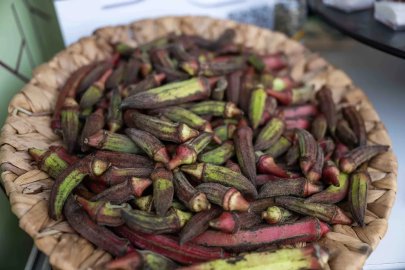 Gastrofest’te Bornova rüzgarı... Kınalı Bamya hayran bıraktı